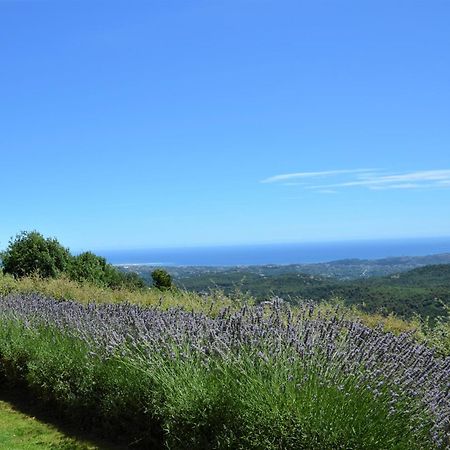 La Bastide Des Pins Bed & Breakfast Vence Eksteriør bilde
