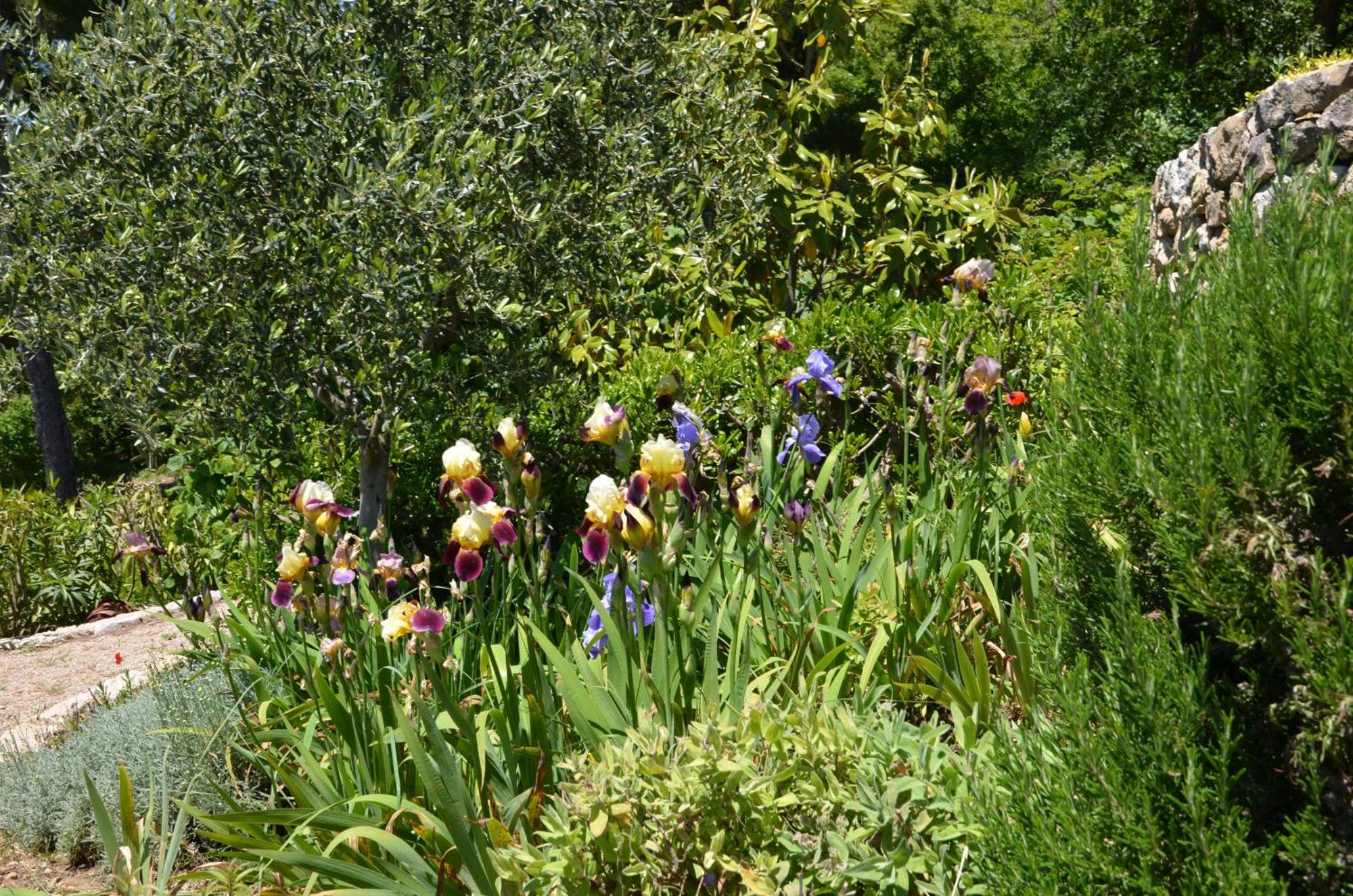 La Bastide Des Pins Bed & Breakfast Vence Eksteriør bilde